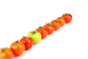 Por Que Alguns Animais Vivem Mais que Humanos? Descubra os Segredos da Longevidade